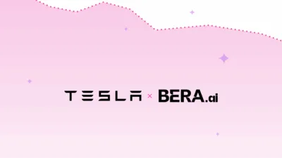 A graph showing Tesla's pricing power decline.